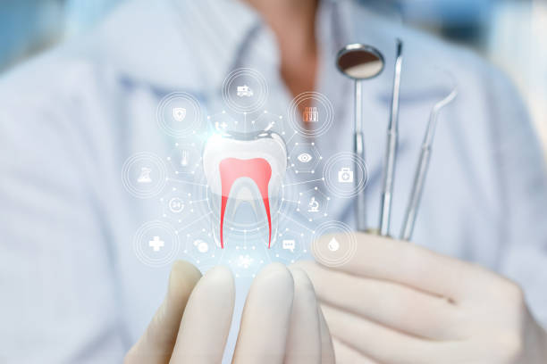 Best Full Mouth Reconstruction  in Nokomis, IL